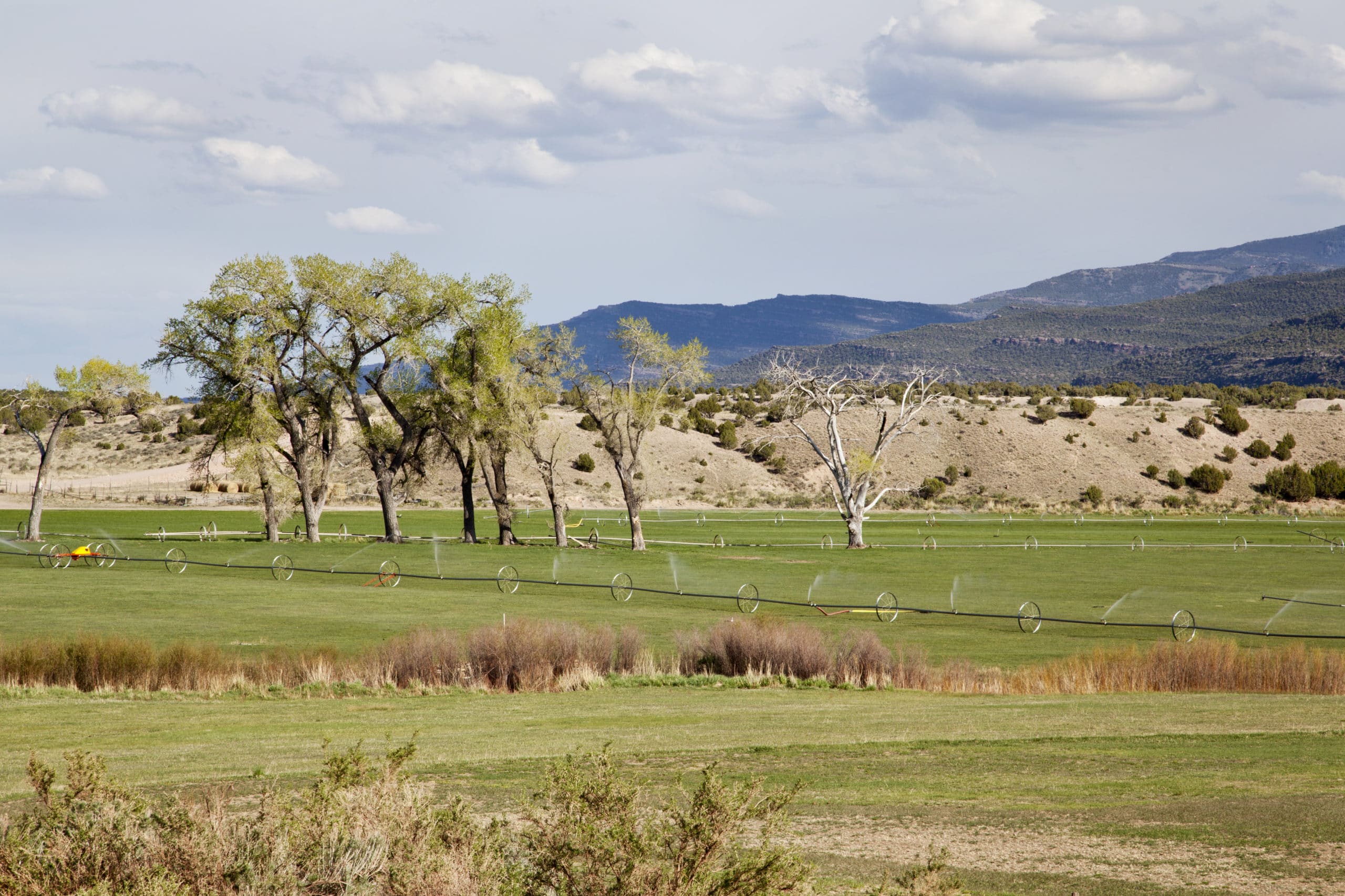 Car Accident Attorneys Emery Utah Emery Utah Car Accident Attorneys